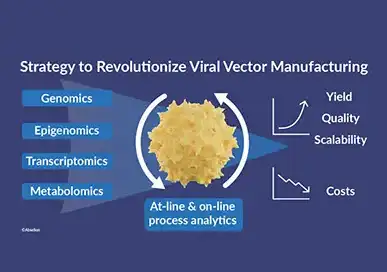 Strategy Viral Vector Manufacturing