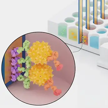 Detection antibody