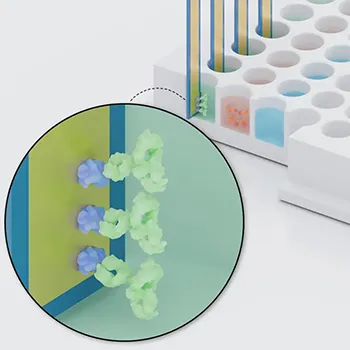 Antibody Sample capture