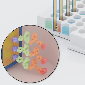 Detection Antibody