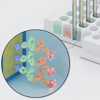 Antibody Electrochemical Measurement